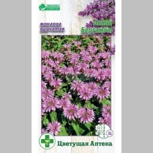 Монарда Дикий Бергамот (дудчатая)