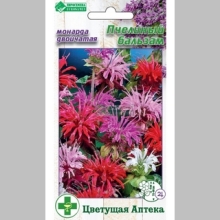 Монарда Пчелиный Бальзам (двойчатая)