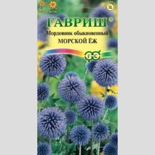 Мордовник Морской еж