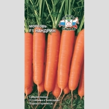 Морковь Нандрин F1