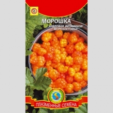 Морошка