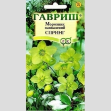 Морозник Спринг лимонно-зеленый восточный (кавказский)