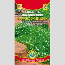 Мшанка Ирландский мох шиловидная