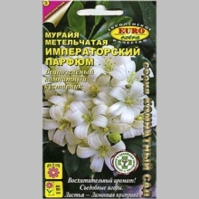 Мурайя Императорский парфюм (метельчатая)