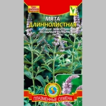 Мята Длиннолистная
