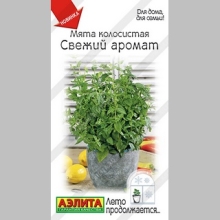 Мята Свежий аромат (колосистая)
