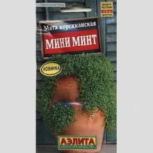 Мята Мини минт корсиканская
