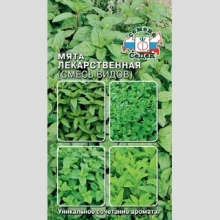 Мята лекарственная смесь видов