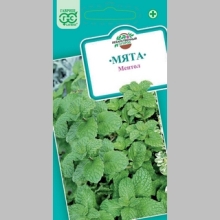 Мята Ментол