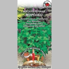 Мята Морозко