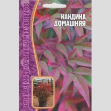 Нандина Домашняя (большой пакет)
