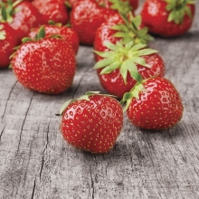 Земляника Настенька F1