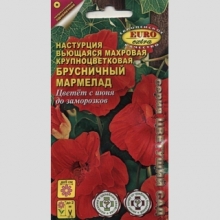 Настурция Брусничный мармелад