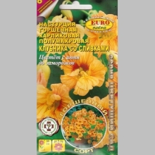 Настурция Клубника со сливками