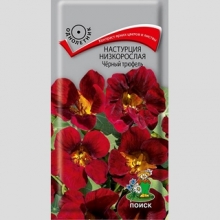 Настурция Чёрный трюфель низкорослая