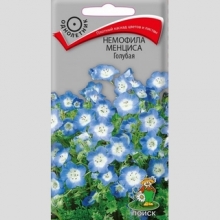 Немофила Голубая (менциса)