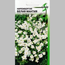 Нирембергия Белая мантия