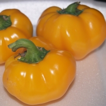 Перец Новогогошары Оранжевые