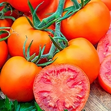 Томат Ням-ням