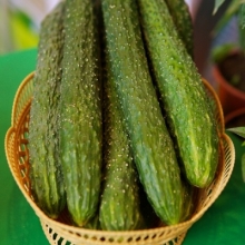 Огурец Изумрудный Поток F1