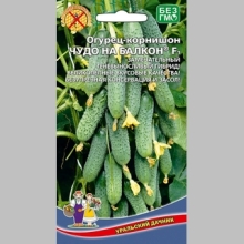 Огурец Чудо на балкон F1