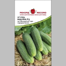 Огурец Маура F1 (Rijder Seeds)