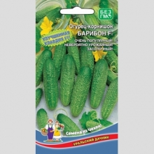 Огурец Барибон F1