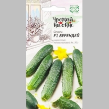 Огурец Берендей F1