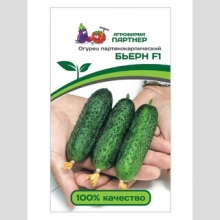 Огурец Бьерн F1