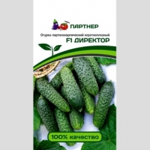 Огурец Директор F1