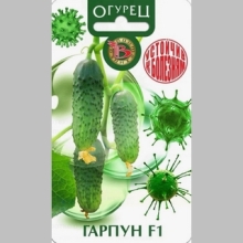 Огурец Гарпун F1