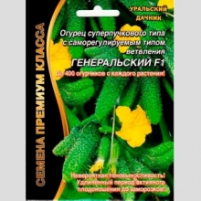 Огурец Генеральский F1 (большой пакет)