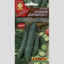 Огурец Китайский долгожитель F1