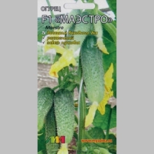 Огурец Маэстро F1