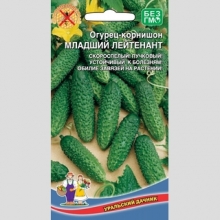 Огурец Младший Лейтенант F1