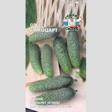 Огурец Моцарт F1