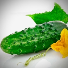 Огурец Охтинский F1