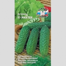 Огурец Рихтер F1
