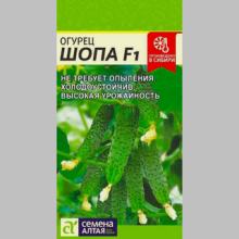 Огурец Шопа F1