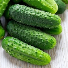 Огурец Сибиряк F1 (Северные овощи)