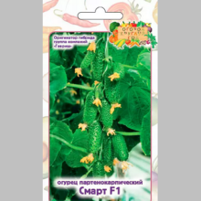 Огурец Смарт F1