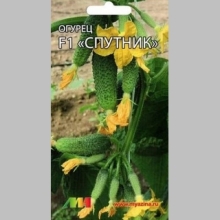 Огурец Спутник F1