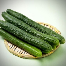 Огурец Цуруги №5 F1