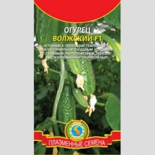 Огурец Волжский F1