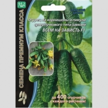 Огурец Всем на Зависть F1 (большой пакет)