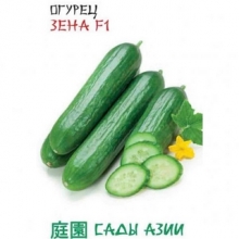 Огурец Зена F1