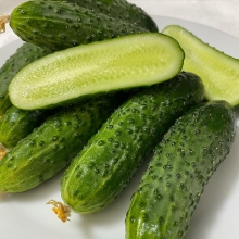 Огурец Полан F1 (большой пакет)