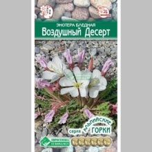 Энотера Воздушный десерт (бледная)