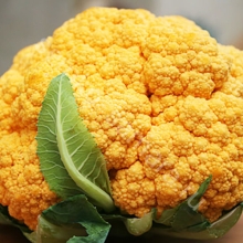 Капуста Оранжелла F1 (цветная)