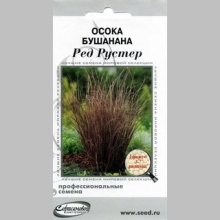 Осока Бушанана Ред Рустер